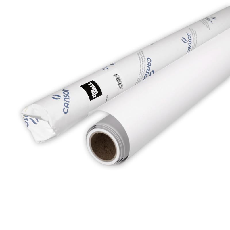 Rollo 100x500 Canson The Wall Extraliso 220 grs